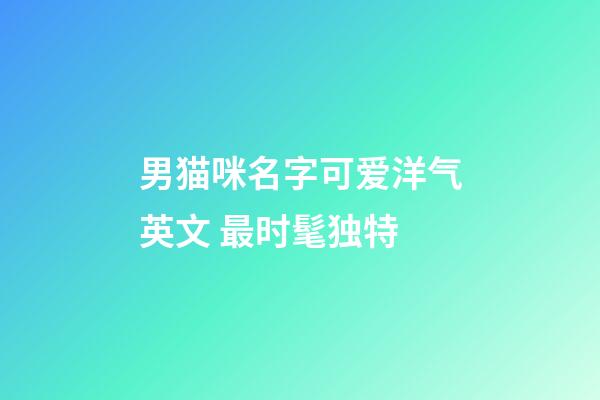 男猫咪名字可爱洋气英文 最时髦独特